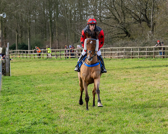 Race 3 - The PPORA Novice Riders (55 of 239)