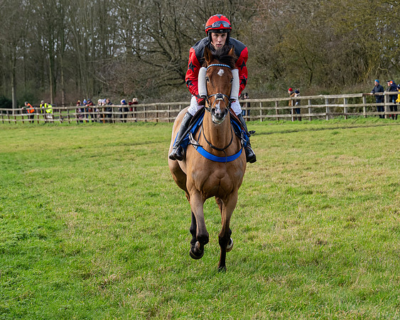Race 3 - The PPORA Novice Riders (57 of 239)