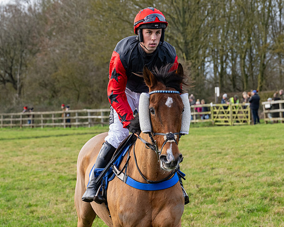 Race 3 - The PPORA Novice Riders (60 of 239)
