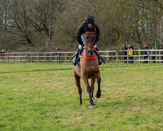 Race 3 - The PPORA Novice Riders (66 of 239)