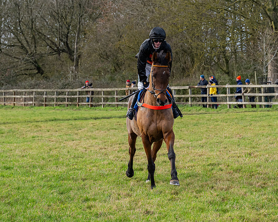 Race 3 - The PPORA Novice Riders (69 of 239)