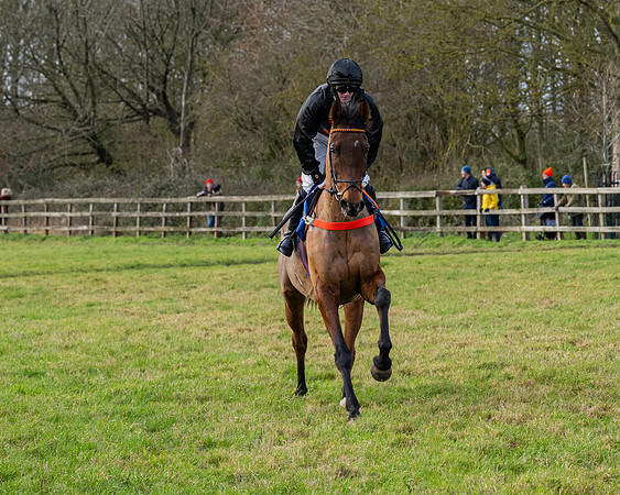 Race 3 - The PPORA Novice Riders (67 of 239)