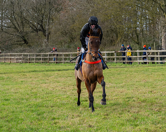 Race 3 - The PPORA Novice Riders (68 of 239)