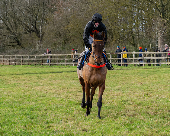 Race 3 - The PPORA Novice Riders (70 of 239)