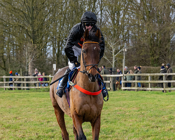 Race 3 - The PPORA Novice Riders (71 of 239)