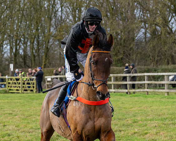 Race 3 - The PPORA Novice Riders (74 of 239)