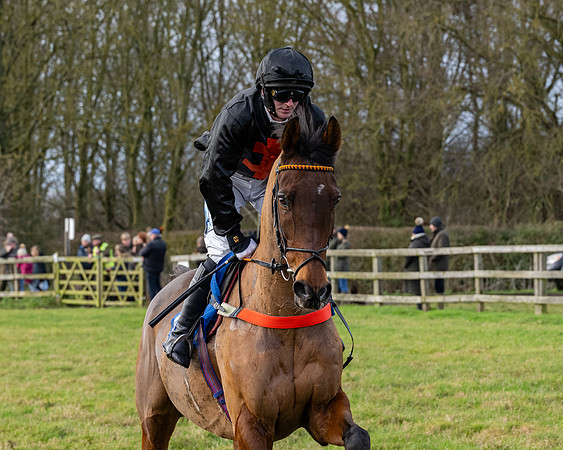Race 3 - The PPORA Novice Riders (73 of 239)