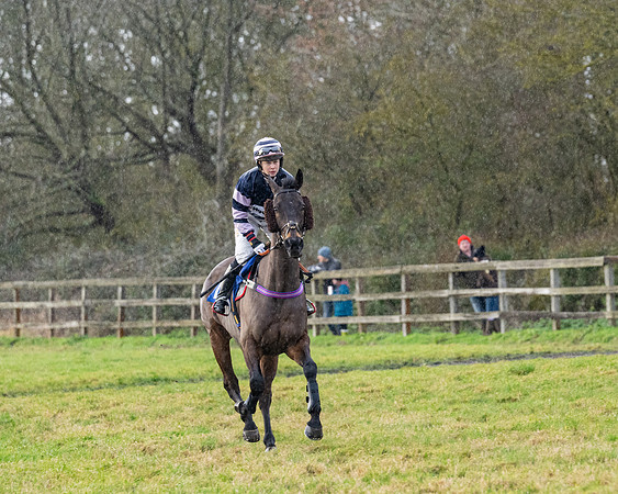 Race 5 - The Ladies Conditions Race  (6 of 111)