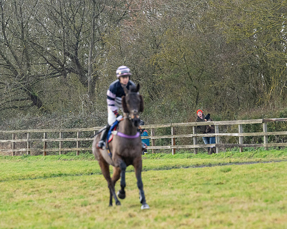 Race 5 - The Ladies Conditions Race  (7 of 111)