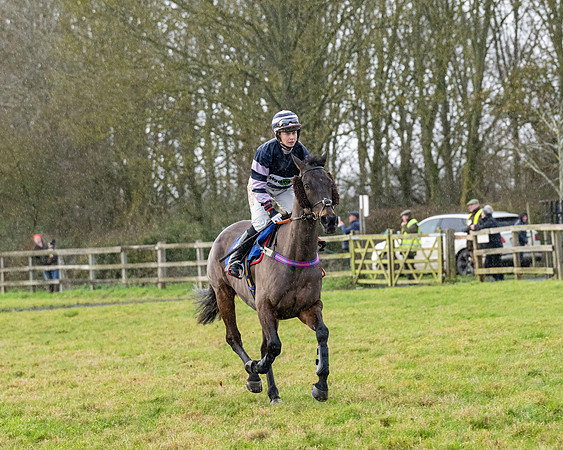 Race 5 - The Ladies Conditions Race  (10 of 111)