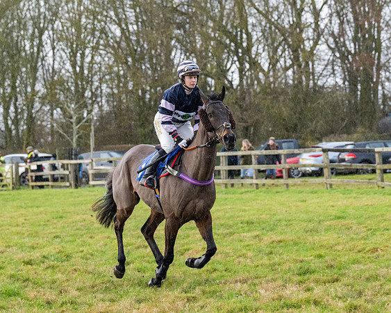 Race 5 - The Ladies Conditions Race  (11 of 111)