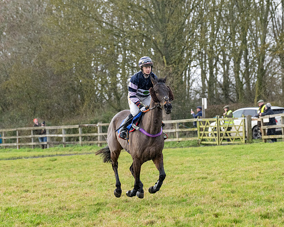 Race 5 - The Ladies Conditions Race  (9 of 111)