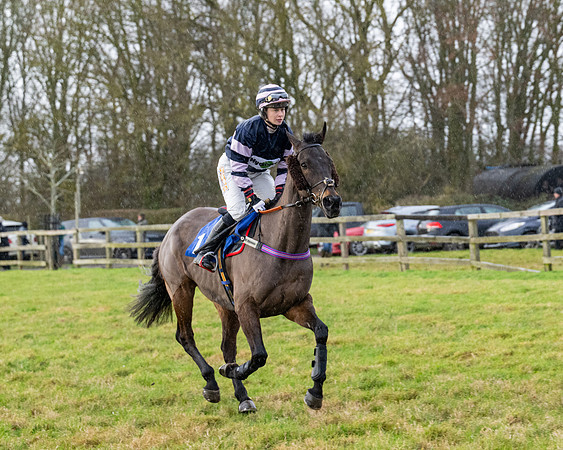 Race 5 - The Ladies Conditions Race  (12 of 111)