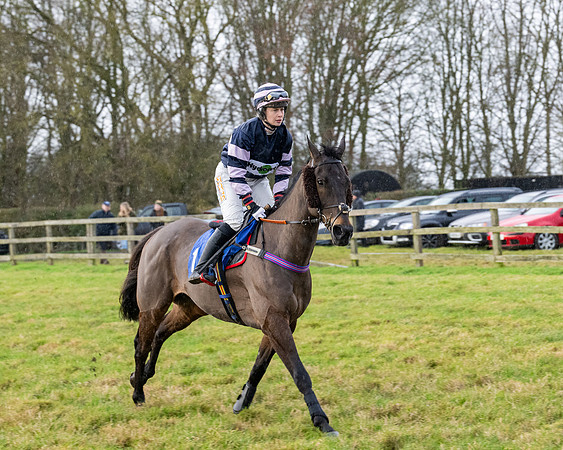 Race 5 - The Ladies Conditions Race  (16 of 111)