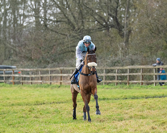 Race 5 - The Ladies Conditions Race  (18 of 111)