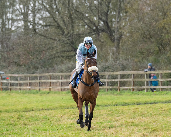 Race 5 - The Ladies Conditions Race  (21 of 111)