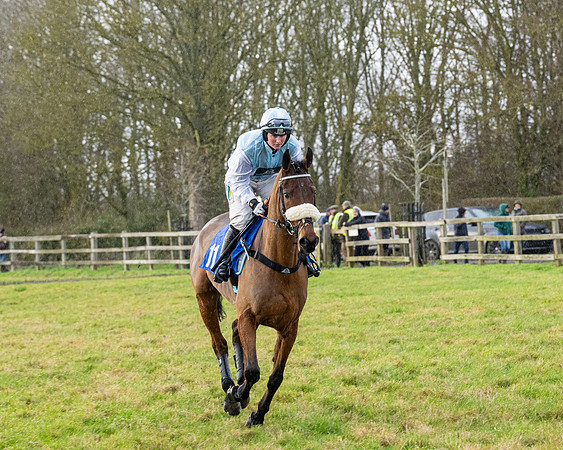 Race 5 - The Ladies Conditions Race  (27 of 111)