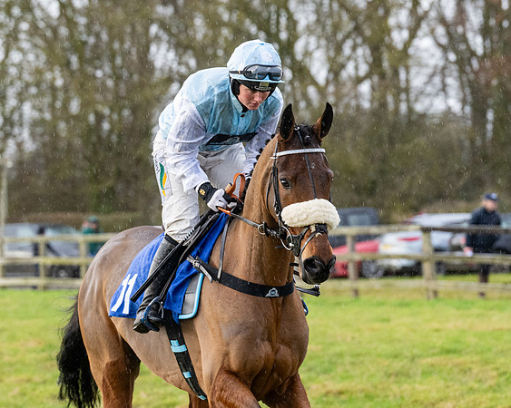 Race 5 - The Ladies Conditions Race  (30 of 111)
