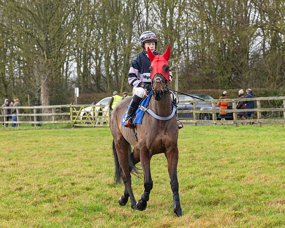 Race 6 -  The Restricted Race (3 of 119)
