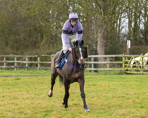 Race 6 -  The Restricted Race (8 of 119)