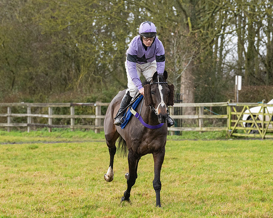 Race 6 -  The Restricted Race (9 of 119)