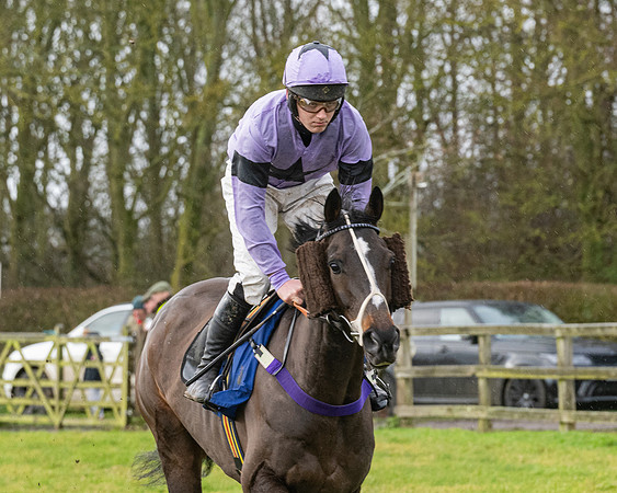 Race 6 -  The Restricted Race (12 of 119)