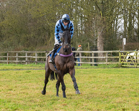 Race 6 -  The Restricted Race (15 of 119)