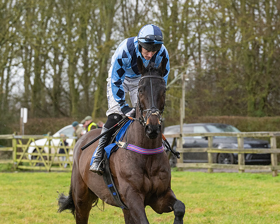 Race 6 -  The Restricted Race (17 of 119)