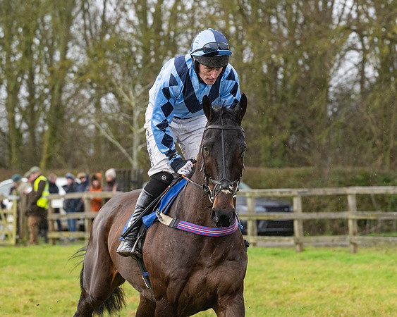 Race 6 -  The Restricted Race (18 of 119)