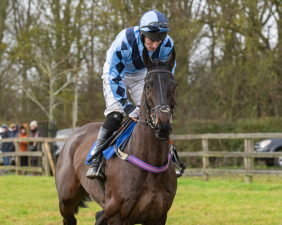 Race 6 -  The Restricted Race (19 of 119)
