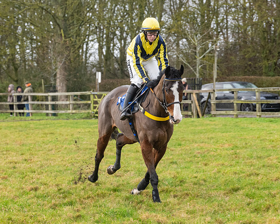 Race 6 -  The Restricted Race (20 of 119)
