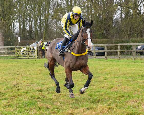 Race 6 -  The Restricted Race (22 of 119)