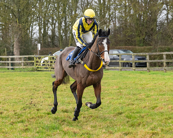 Race 6 -  The Restricted Race (21 of 119)