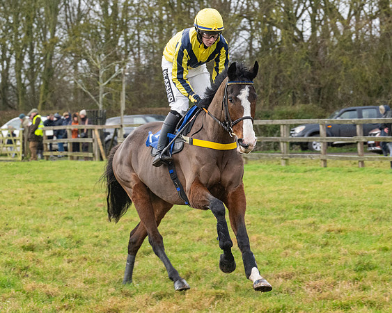 Race 6 -  The Restricted Race (24 of 119)