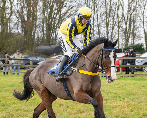 Race 6 -  The Restricted Race (25 of 119)