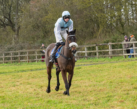 Race 6 -  The Restricted Race (28 of 119)