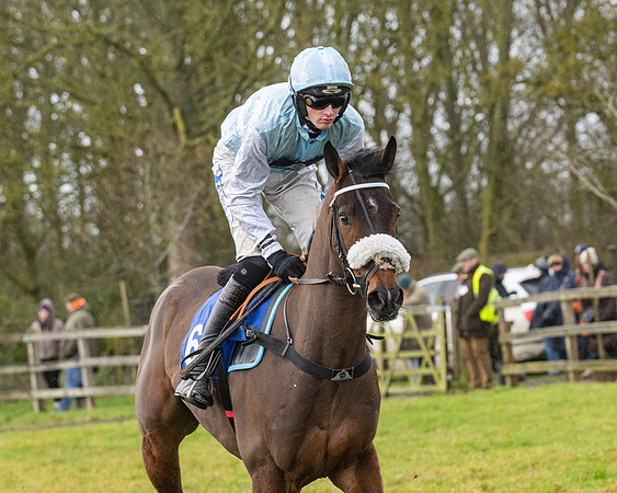 Race 6 -  The Restricted Race (29 of 119)