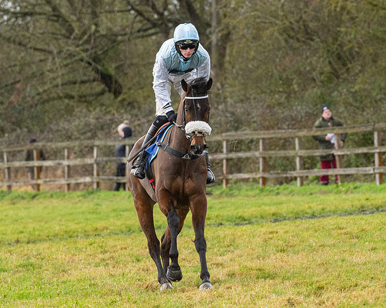 Race 6 -  The Restricted Race (27 of 119)