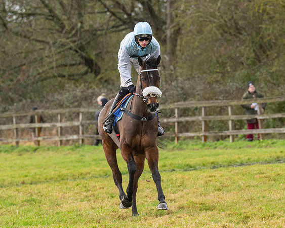 Race 6 -  The Restricted Race (26 of 119)
