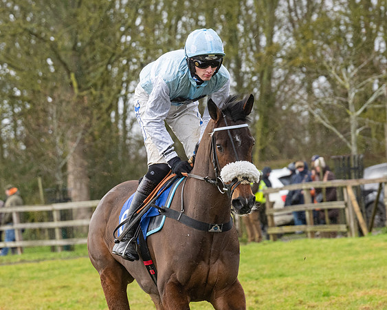 Race 6 -  The Restricted Race (30 of 119)