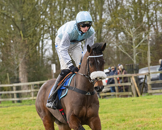 Race 6 -  The Restricted Race (31 of 119)