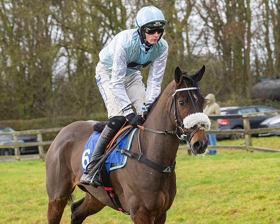 Race 6 -  The Restricted Race (34 of 119)
