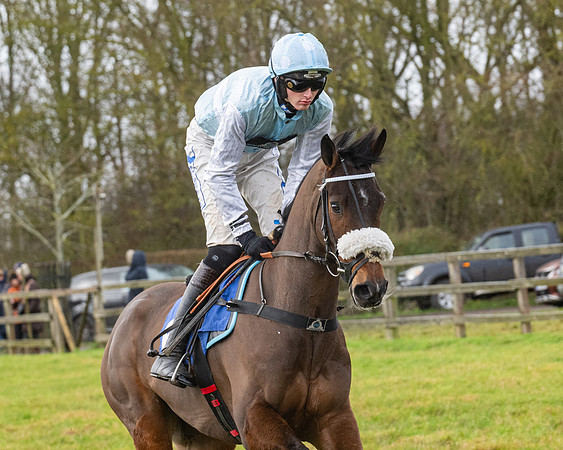 Race 6 -  The Restricted Race (32 of 119)