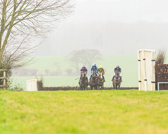 Race 6 -  The Restricted Race (35 of 119)