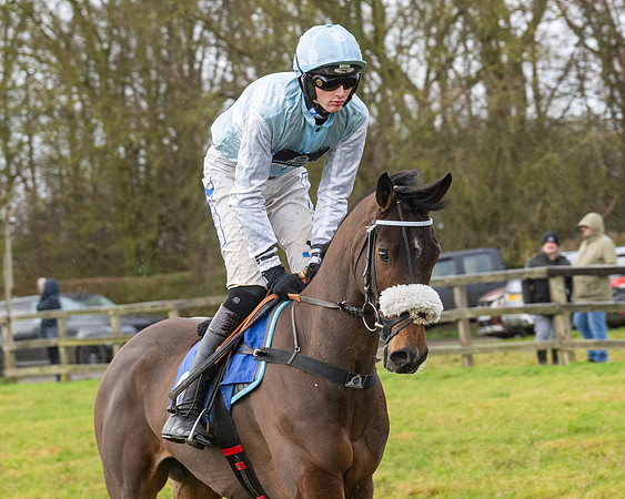 Race 6 -  The Restricted Race (33 of 119)