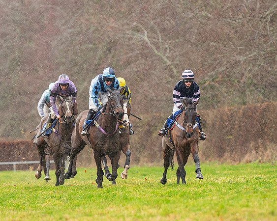 Race 6 -  The Restricted Race (45 of 119)