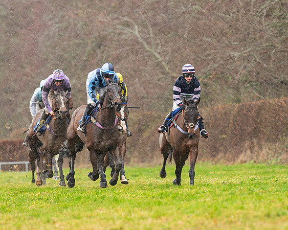 Race 6 -  The Restricted Race (46 of 119)