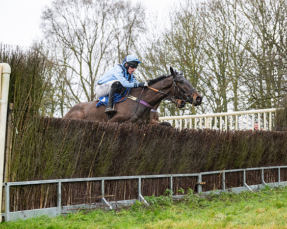Race 6 -  The Restricted Race (47 of 119)