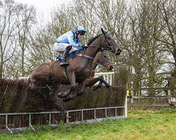 Race 6 -  The Restricted Race (50 of 119)