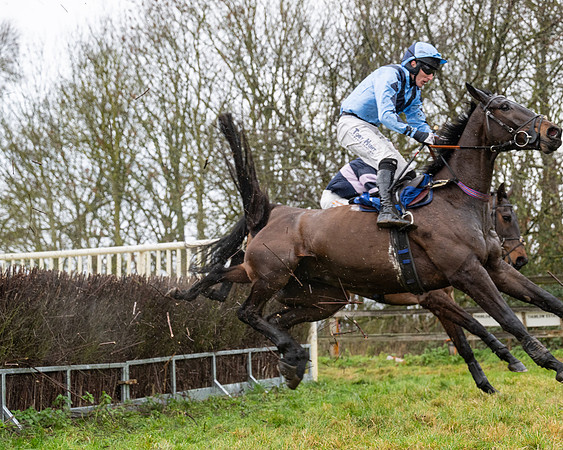 Race 6 -  The Restricted Race (54 of 119)